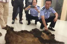 自家羊被咬死，老农怒斩大熊猫，得70斤肉卖4800元，结果怎样？图片