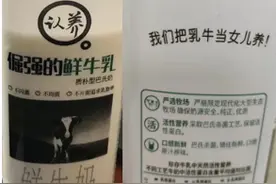 “把乳牛当女儿养”？这家乳企道歉图片
