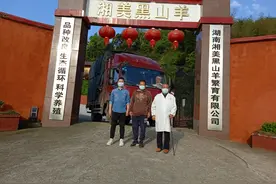 邓总在自己的生日把黑山羊领回家，把羊倌这个事做好图片