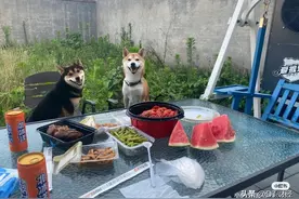 北京新中产，开始流行去农村租院子图片
