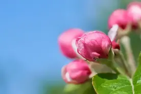 ​有这两个本事的女人，绝对是“好命相”，能活出漂亮又高贵的人生图片