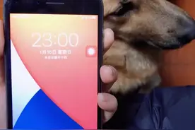 浙江一女子煮宵夜，无聊叫醒熟睡的狗子作陪，第二天狗子眼神亮了图片