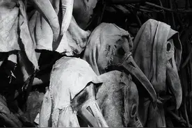 横扫欧洲三百年的“黑死病”，1910年进攻中国，国内如何67天根除图片