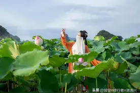 退休后的福气，是有定数的图片