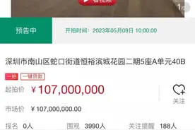 深圳一豪宅1.07亿被法拍 业内：这种交易模式在一些大城市或会有升温可能图片