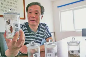 48岁公务员辞职上山养蟑螂，10年繁殖40亿只，如今收入破亿元图片