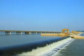 好品山东 产自临沂——临沂八宝豆豉图片