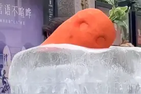 上海街头现移动冰块车引得市民围观，网友：被上海街头的冰块车治愈了图片