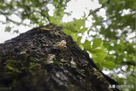 在未来的五年里，我们将会比现在更难图片