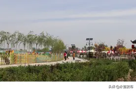 幸福农场 领跑幸福——永登美乐幸福农场发展特色产业打造乡村振兴新样板图片