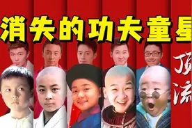 消失的功夫童星图片
