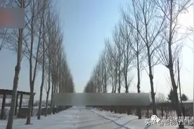 女子走夜路，被陌生男子突然抱住...图片