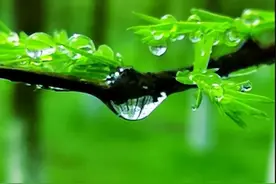 诗词丨花间一壶酒，且消今日愁图片