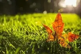 入秋换季家电降价！4款超好用家电不要忽略，早备上好轻松养生图片