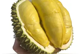 不同近视度数下看到的世界，第3张笑不活了图片