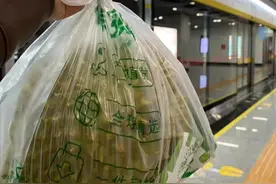 带榴莲坐地铁，安检夸我榴莲买的好图片