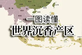 一图让您了解世界沉香产地及香气特点图片