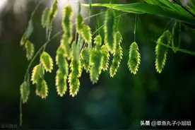 老太婆做手术图片
