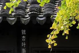 如何将日常生活拍出大片感？快来看这里！（影展点评第588期）图片