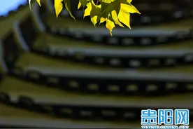 【图集】醉美生态画卷！贵阳秋叶黄与贵阳蓝相遇，秋意渐浓！图片