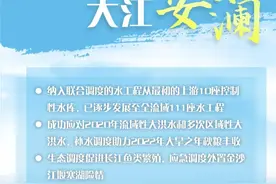【践行长江嘱托】联调联控 大江安澜图片