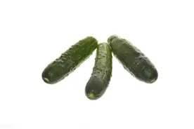 单词联想success succulent succumb图片