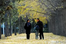 混到56岁才深感“愧疚”：人间一趟，殊不知白忙一场，连累后代图片