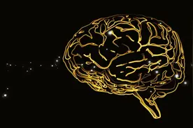 世界观（20）——人格（“自我”）= 生物电信息转现实信息解码器图片