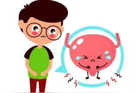 关注前列腺，呵护男性健康 | 中国男性健康日图片