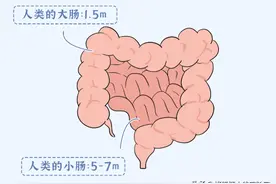 为什么很多女生的小肚子，都是鼓鼓的？图片