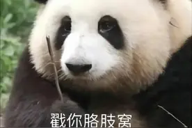 表情包|你说你的，反正我不听图片