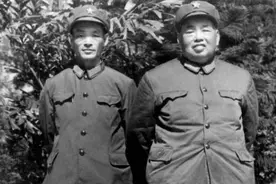 潍县城墙厚6米，许世友炮击14天未果，小兵献出妙策：用竹竿破城图片