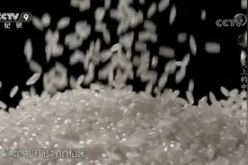 年GDP不到300亿，却培育出超700亿的大米品牌，这个小城凭什么？图片