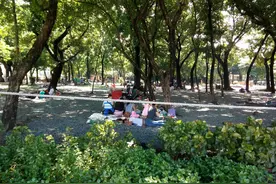 在菲律宾，很多家庭中只要有一个人挣钱，其他人只会在家享受生活图片