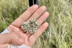 你正在悄悄被爱，我有10个证据图片