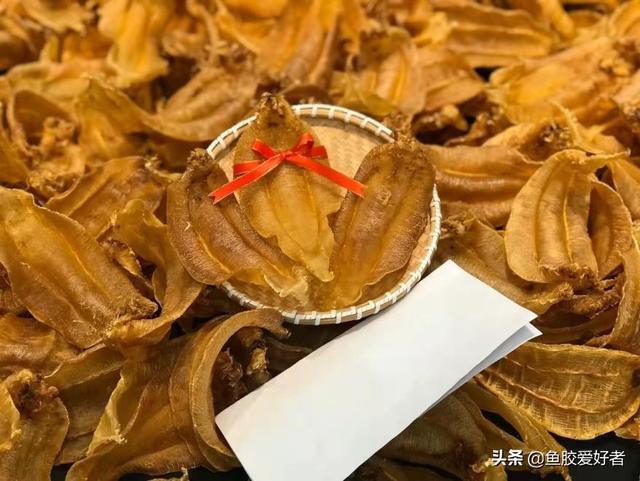 赤嘴胶是什么鱼 2026年赤嘴胶的作用与功效