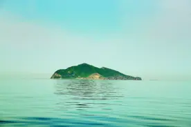 全球各地普遍存在“蛇岛”，为何岛上的蛇，越来越毒？图片