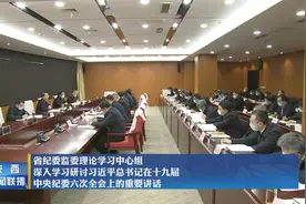 陕西省纪委监委理论学习中心组深入学习研讨习近平总书记在十九届中央纪委六次全会上的重要讲话图片