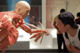 人体标本制作师王耀：一年制作50具标本，从业十几年，却依然恐惧图片