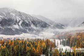 霜降丨定格！抓住秋天的尾巴图片