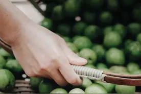 用一句诗形容理想的生活，你会选哪句？图片