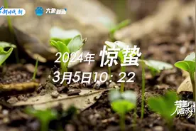春雷隐万物青 换个姿势看惊蛰！图片