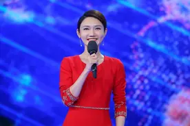 诗词大会7：点评同一诗，把龙洋和康震郦波放一起，差别就出来了图片