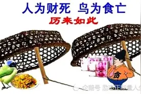 关于“人为财死，鸟为食亡”的民间故事图片