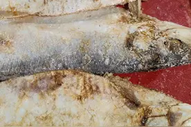 一类致癌物？咸鱼真的难翻身图片