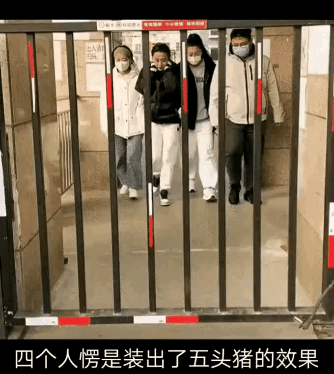 搞笑GIF动图：小泰迪害怕挠痒痒吗？图片