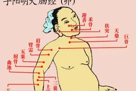 穴位养生-手阳明大肠经图片