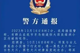 “清白无罪”！成都崇州拉布拉多狗咬人事件监控调查结果揭晓图片