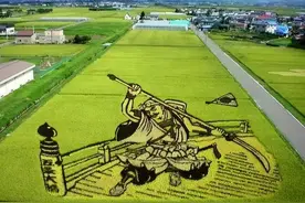 60%的粮食需要进口，日本是如何应对粮食安全的？图片