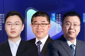 费用平价走医保，林志颖3D人脸重建手术方案有啥看点丨亮见04期图片